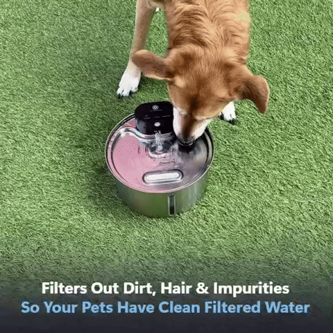 <p><strong>Fresh, Cleaner Water</strong></p><p></p>