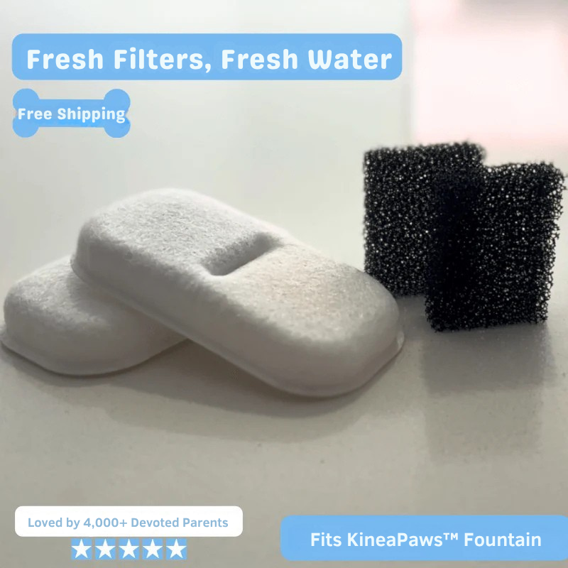 KineaPaws™ Filter Replacement Kit