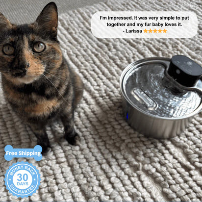 KineaPaws™ Filtered Water Fountain