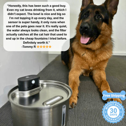 KineaPaws™ Filtered Water Fountain