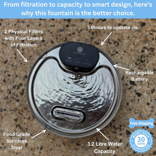 KineaPaws™ Filtered Water Fountain